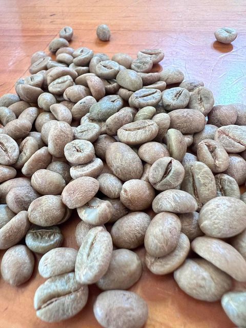 Robusta green beans S16 and S18 sourced directly from trusted farms in the Central Highlands of Vietnam - Image 3