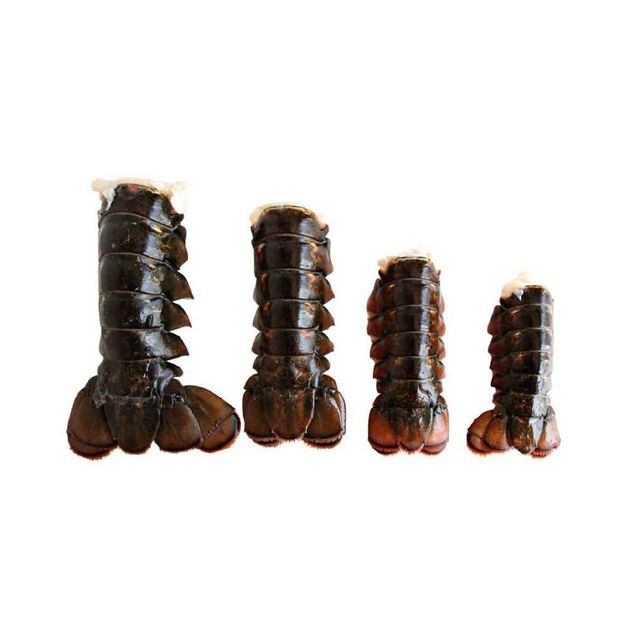 Premium quality frozen lobster tails arranged for bulk buyers with fast delivery - Image 3