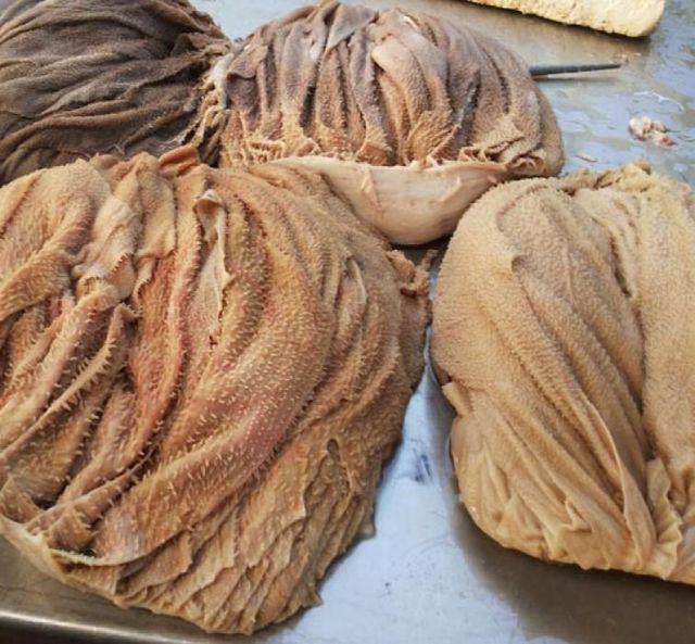 Frozen Salted Beef Omasum - Image 1