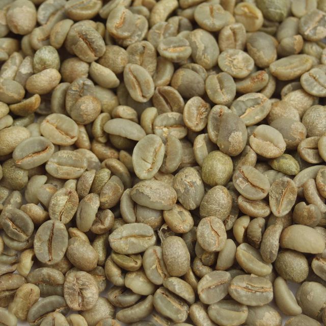 Premium Green Bean Robusta Coffee Export Supply With Washed Processing And Vacuum Packed Bags For Import Buyers - Image 5