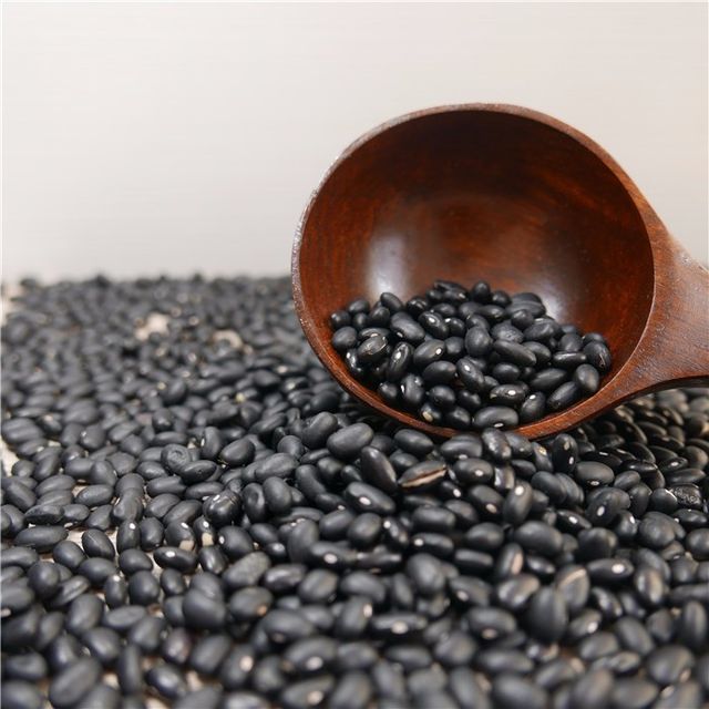 Wholesale Kidney Bean Black Price Of Black Kidney Beans China - Image 5