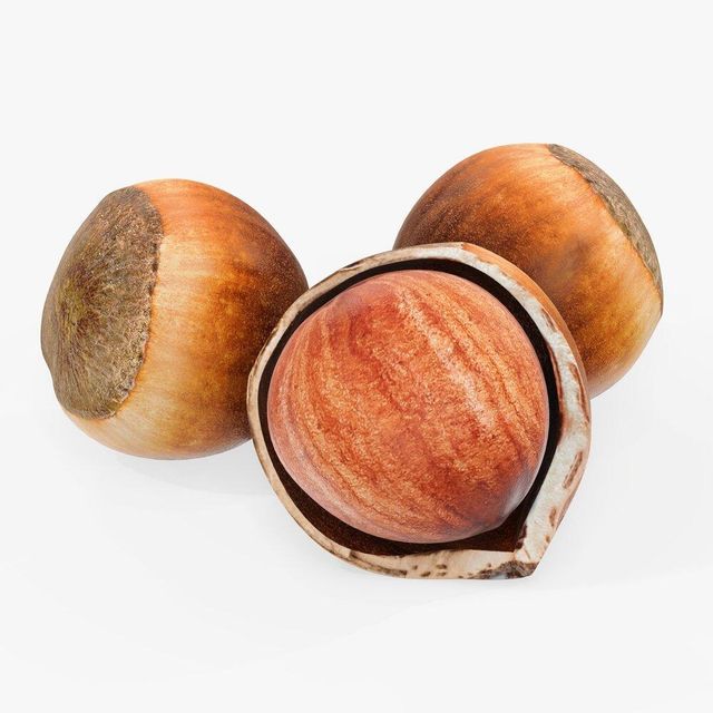 Bulk Premium Hazelnuts Fresh Roasted Natural Snack Wholesale Healthy Supply Ideal for Retailers Wholesalers and Export - Image 3
