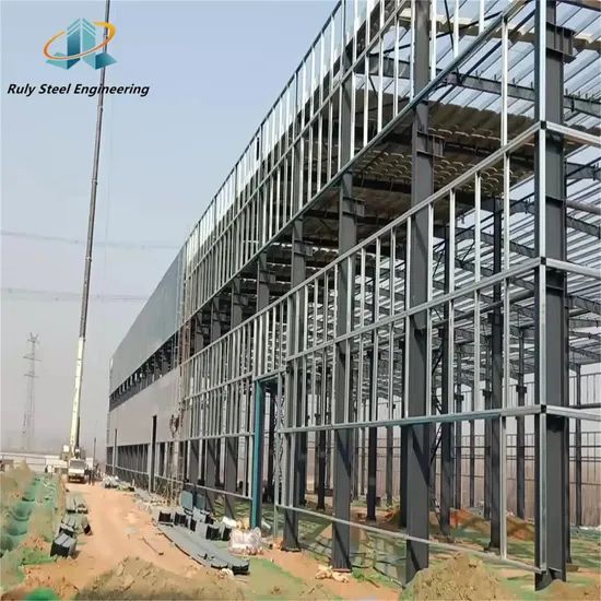 Steel Frame with Rapid Assembly Capabilities Reducing Construction Time - Image 6