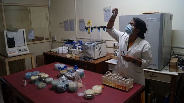 Ayurvedic Products Testing Services Duration 3 Days Service Mode Offline Report Soft And Hard Copy Service Location Pan - Image 1