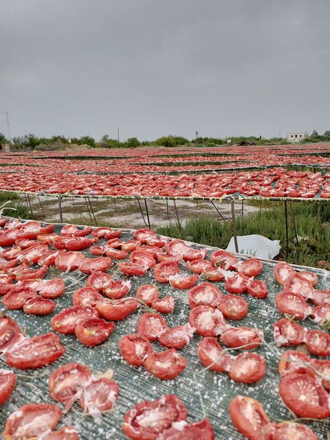 Sun Dried Tomatoes - Image 3