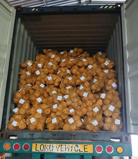 Dried Coconut Organic Yes Origin Vietnam Degree Of Maturity Mature Degree of Processing Dried Processing Type Full-husked - Image 5