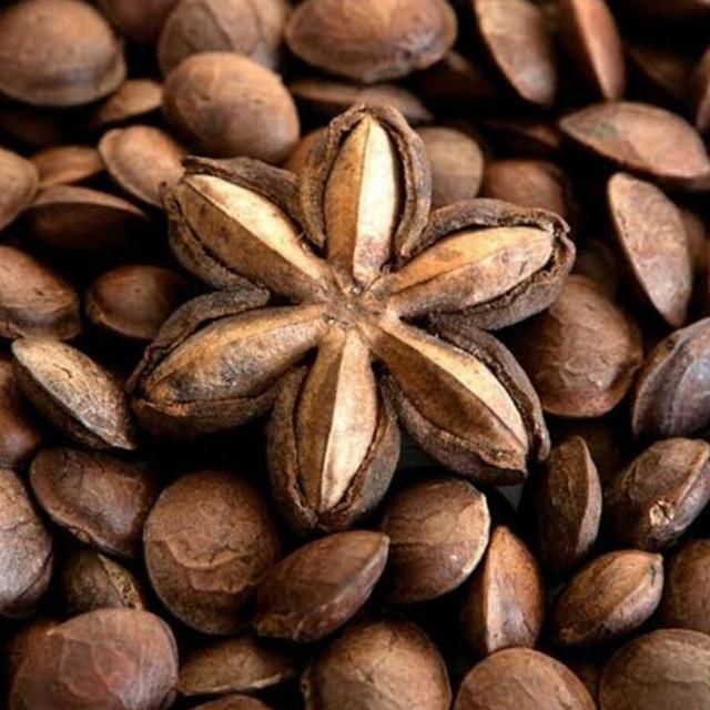 Premium Quality Organic Sacha Inchi Salty Nuts Snack From Peru - Image 5