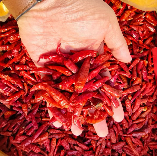 Best Quality Red Chilli Peppers –Bold Colour, Fresh Heat 20kg Reliable Quality Chilli for Global Markets - Image 2