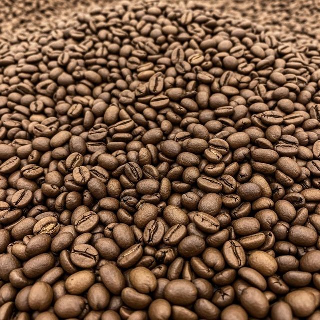 Natural Organic Coffee Beans Export High Grade Organic Coffee Roasted With Care For Exceptional Taste - Image 5