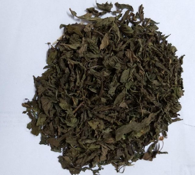 Dried Spearmint Leaf TBC - Image 3