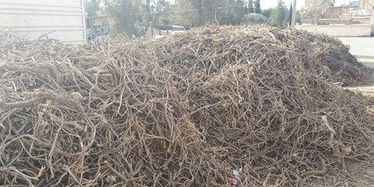 licorice - Image 1