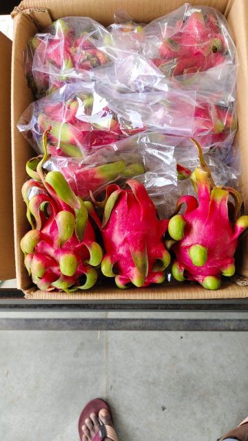 Vegatables - Image 17