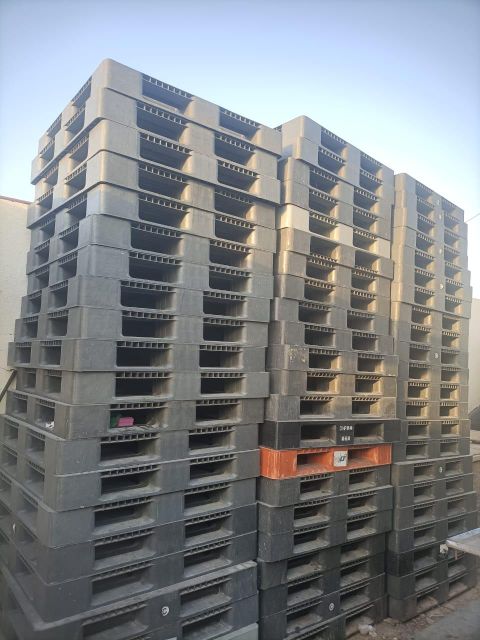 pallets plastic Ajman - Image 1