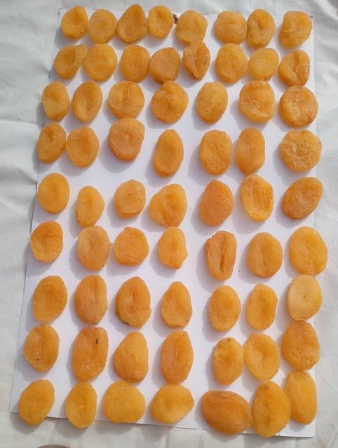 Dry Apricots – product photo 3, product detail gallery