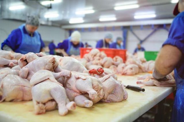 Frozen Whole Chicken (Cut in Pieces) – Grade A Halal Certification Halal Place of Origin Pakistan Grade Grade A Export - Image 3