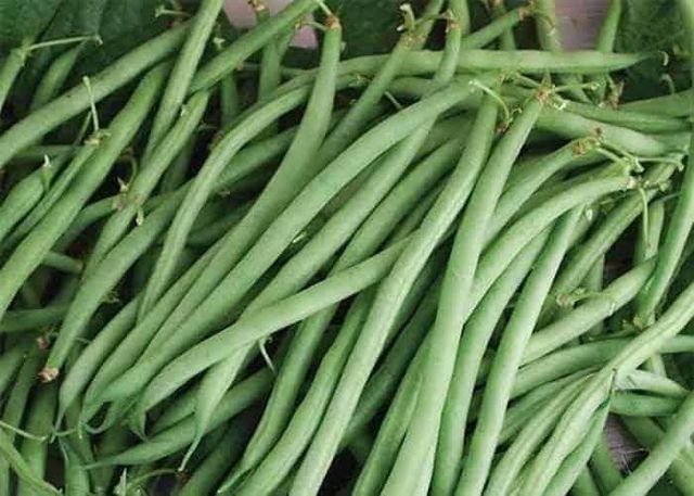 string bean - Image 2