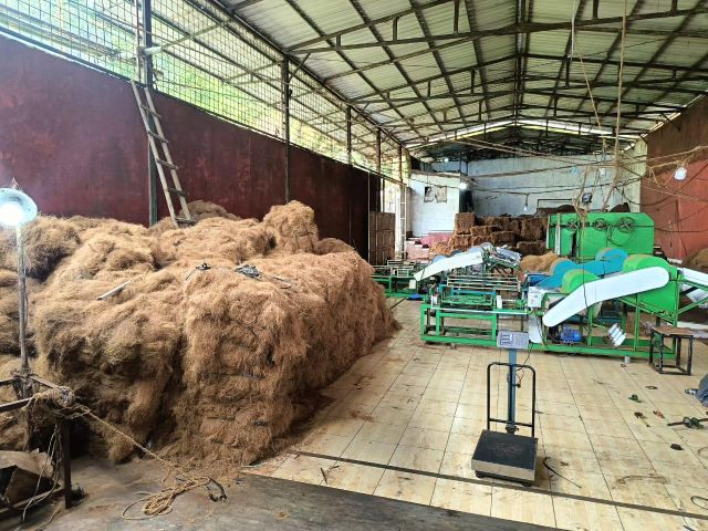 Coconut Coir Fibers Packaging Bale Max. Moisture (%) - Image 3