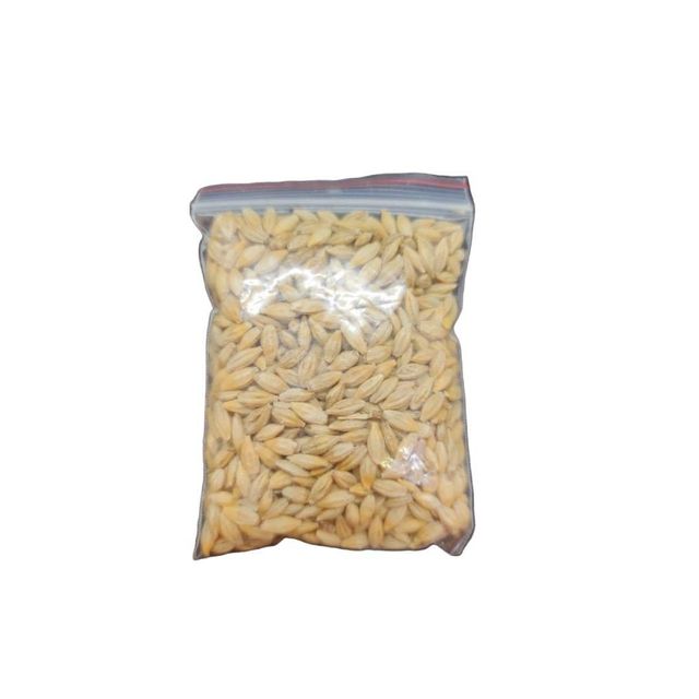 Natural Barley Grain With Excellent Quality Premium Barley Grain Available For Retail And Export Purchase - Image 5
