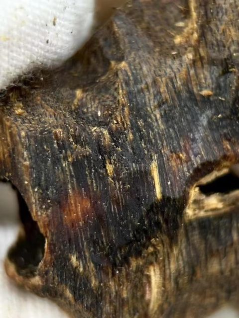 AAA China Hainan agarwood, kinam agarwood, Hainan oud, Hainan kynam - Image 4