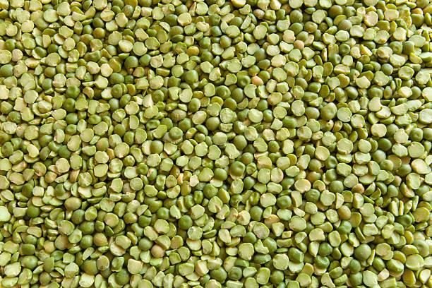 Premium Export Quality Green Lentils – Clean, Dried, Bulk Packaging (25kg/50kg Bags) - Image 3