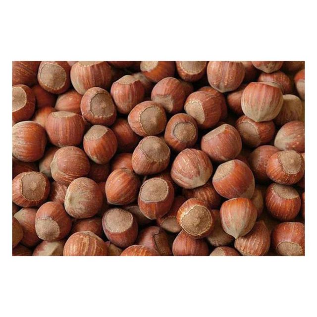 Premium Quality Wholesale Hazelnuts For Sale In Cheap Price - Image 5
