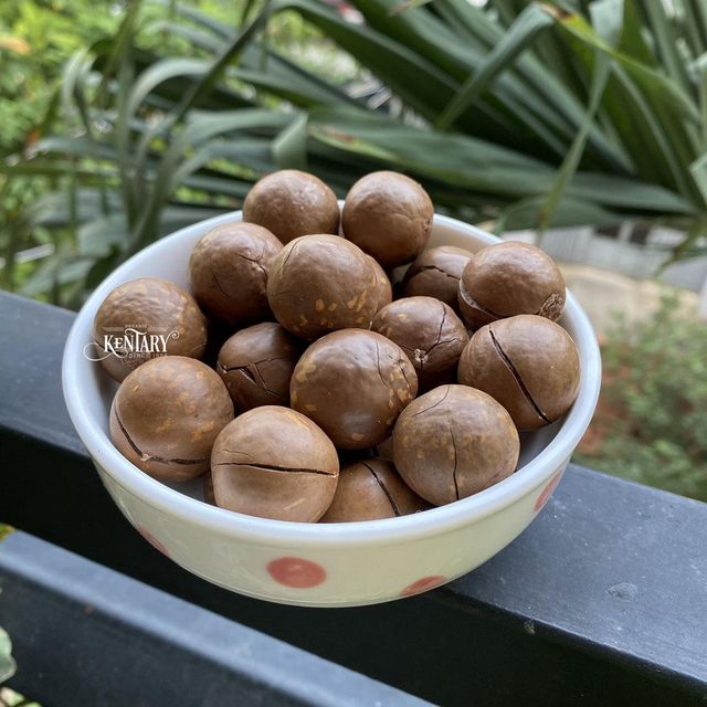 Macadamia Nut Cracker - Image 1