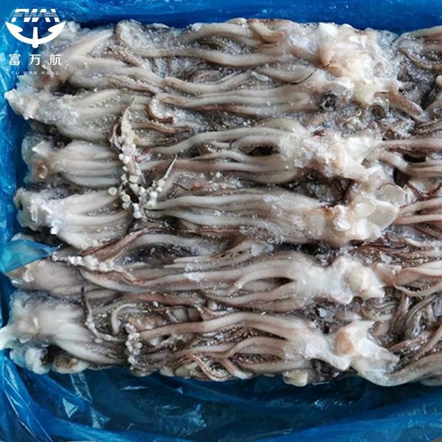 Cheap Frozen Indian Squid China Frozen Squid - Image 2