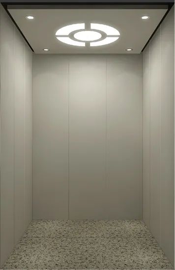 Simple Style Standard Passenger Elevator - Image 4