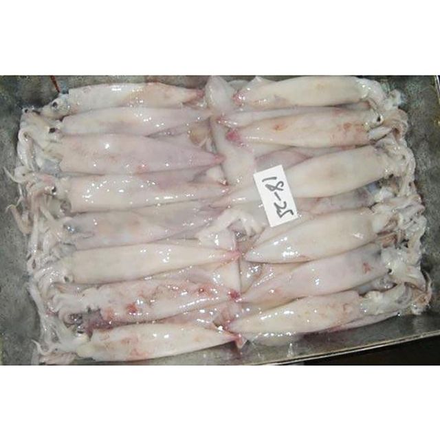 Frozen Squid IQF Processed With 95% Natural Texture Preservation For Hospitality Food Supply And Seafood Importers - Image 4