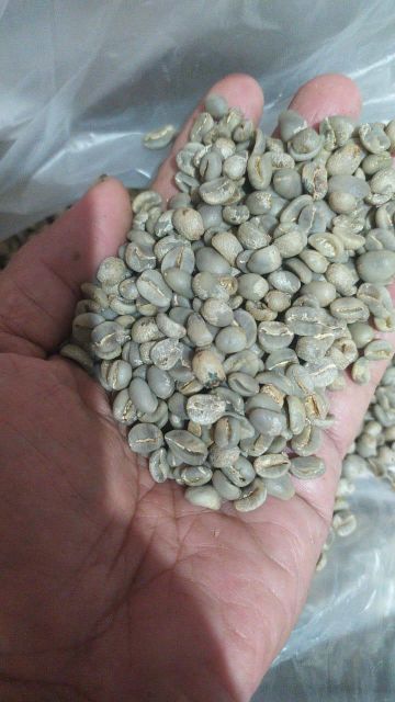 Coffee - Image 2