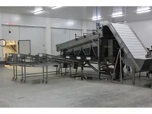 Automatic Industrial 18 Roller Fast Shrimp Grader Multifunction Size Fish Prawn Sorting Grading Machine - Image 6