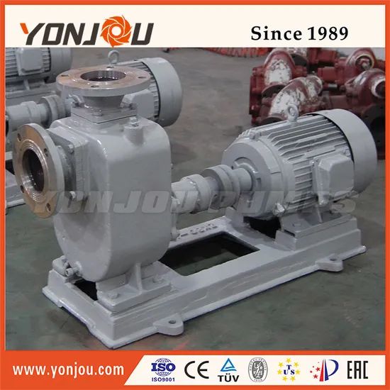 Zx Self Priming Stainless Steel Ballast Pump - Image 4