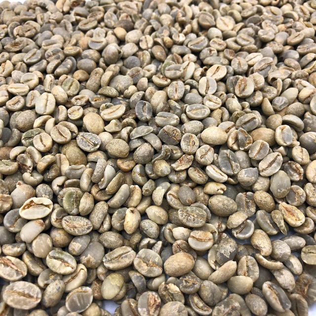 Handpicked Robusta Coffee Bean For Strong Flavor Profile Premium Robusta Coffee Bean For Wholesale Buyers - Image 4