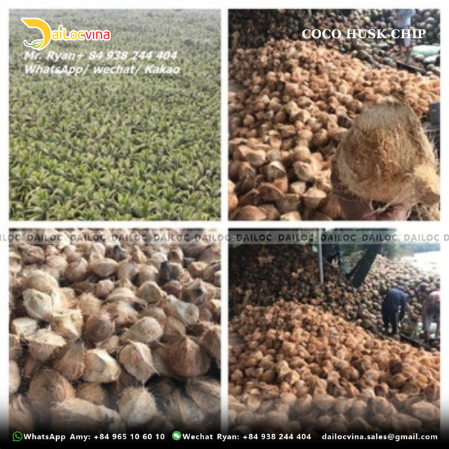 Manufacturer of 100% natural coconut shell chips for soil conditioner - Image 5