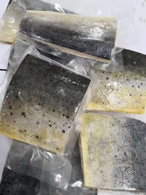Frozen Mahi Mahi Fish Premium Cut Fresh Frozen Selection For Import Export Seafood Supply And International Buyers - Image 3