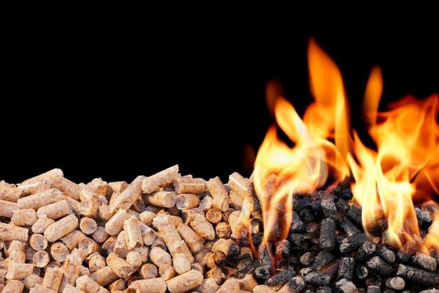 High quality biomass wood pellets available at factory price for wholesale buyers - Image 4
