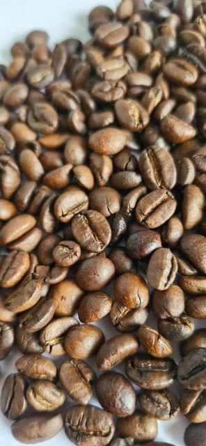 Coffee & Coffee Bean - Image 1