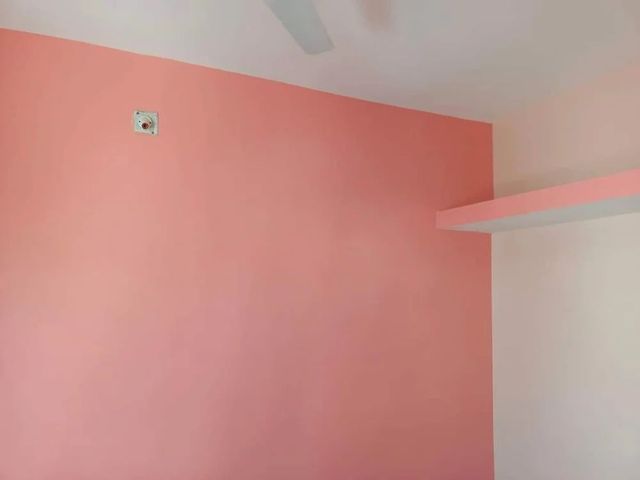 Plastic Paint Services Finish Satin services 4500 product premium Surface Type Wall Property Type Mall Paint Type - Image 11
