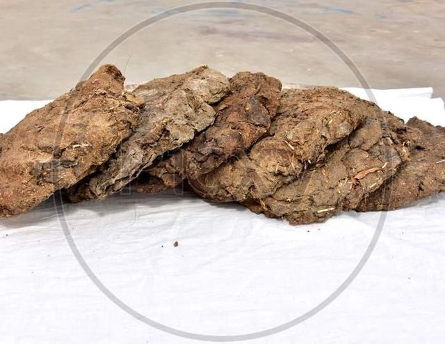 Cow Dung Cake Type Cow Dung Cake Place of Origin india Shape round or - Image 2