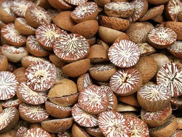 Selected Grade of Betel Nut Supply Brand Quality Product From Thailand Manufacture Export Large Market - Image 6