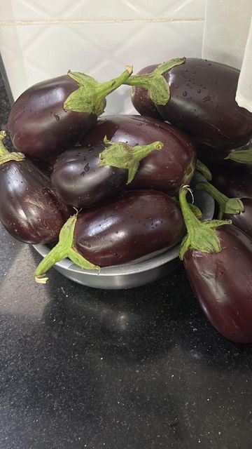 Eggplant - Image 1