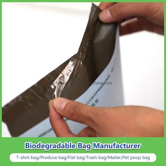 Plastic Printing Bubble Express Bag LDPE Mailing Bag - Image 3