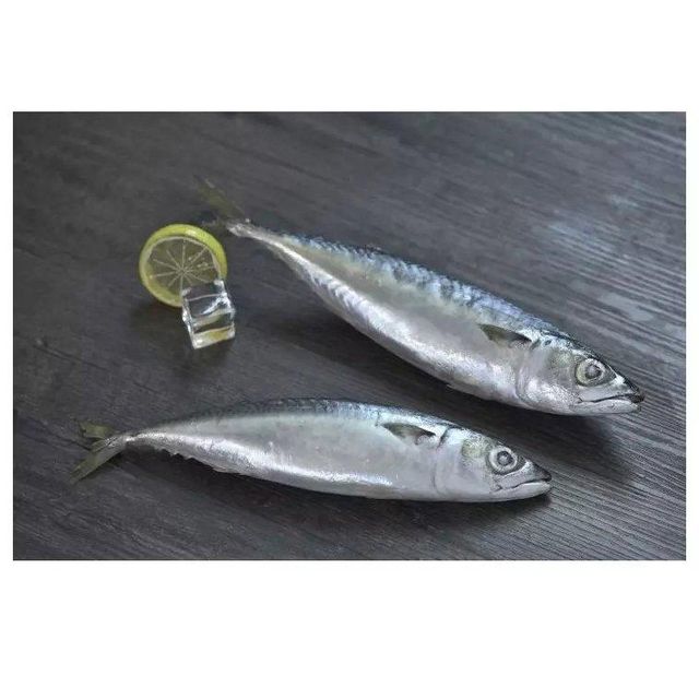 Wholesale seafood delicious fresh fish frozen tunny tuna fish - Image 2
