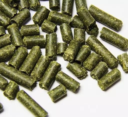 Alfafa Hay Animal Feeding Stuff Alfalfa, hay/alfalfa hay pellets Timothy Hay/ Alfafa in Bales Best  Wholesale Alfalfa Hay Animal Feeding Stuff Alfalfa, hay/alfalfa hay pellets Timothy Hay/ - Image 4