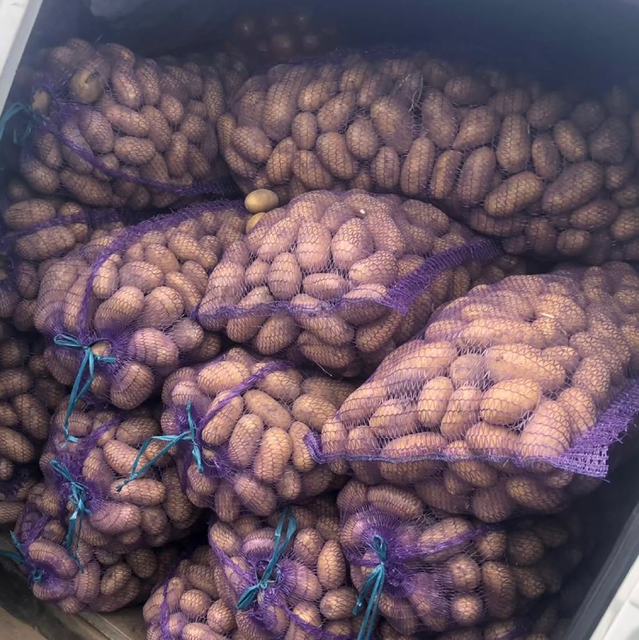Buy Fresh Irish Potatoes – Large Size | Cleaned Irish Potatoes & Export Ready 10kg & 20kg Mesh Bags - Image 3