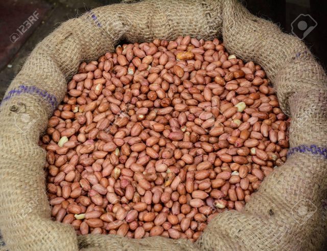 BRAZILLIAN RUNNER PEANUTS - Image 2