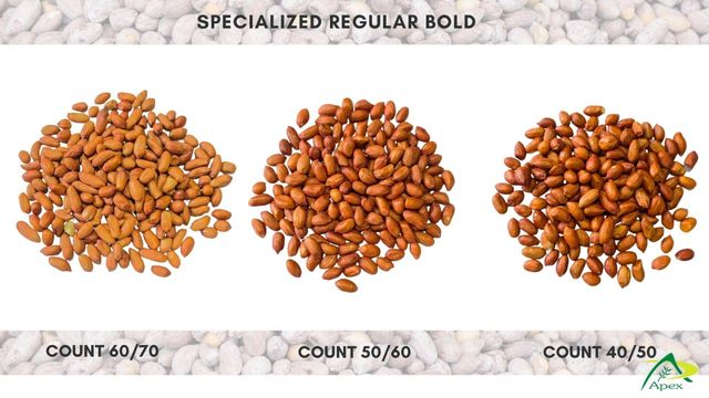 Bold Peanut 4050, Bold Peanut 40 50,Peanut, Peanuts, Arachis hypogaea, Bold Peanuts Kernels, Bold Peanut, Indian Bold Peanut, Indian Bold Peanuts, Peanuts Kernels, Peanut With Shell, Peanuts,Indian Peanut, Bold Peanut Supplier From India. - Image 2