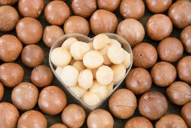 Macadamia Kernels Cracked Dried Viet Nam Size 25-29mm New Crop 2023 High Quality with Good Price - Image 2