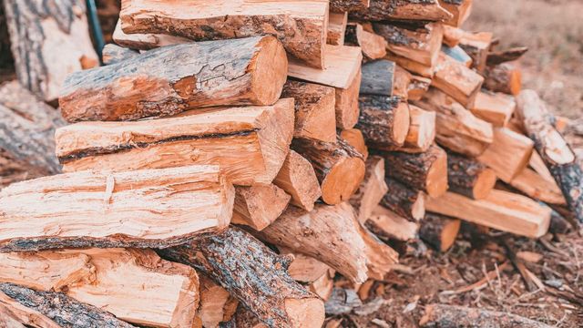 Top Grade Kiln Dried Firewood Long Burning Hardwood Logs For Heating Cooking And Outdoor Gatherings - Image 1
