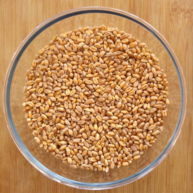 High Protein Wheat Grain With Nutrient Rich Wheat And Premium Seeds For Wholesale Orders - Image 5